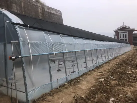 Trinog China ha realizzato una serra agricola con film plastico idroponico multispan per aziende agricole commerciali