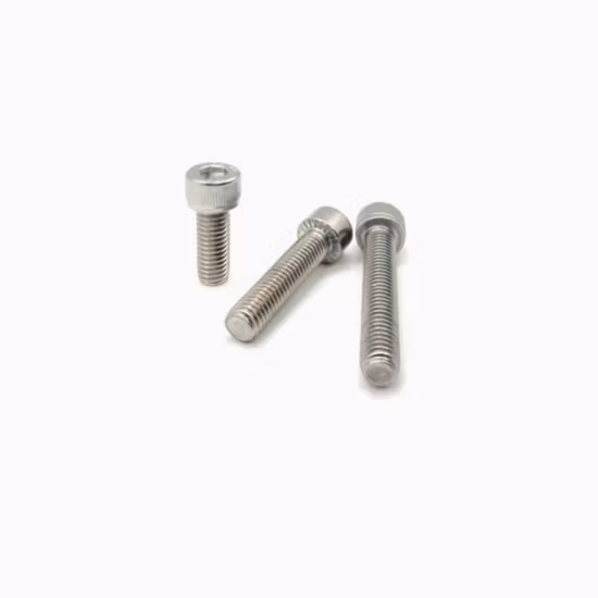 Cina Fabbrica SS304 SS316 Elementi di fissaggio in acciaio inossidabile Asta filettata/Bullone e dado/Rondella/Ancoraggio/Sartiame/Perno/Rivetto/Vite per terrazza/Vite a esagono incassato