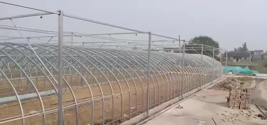 Buon servizio Serra a campata singola Xinhe Commercial Green House Fornitore Serra per tunnel per l'industria estrattiva